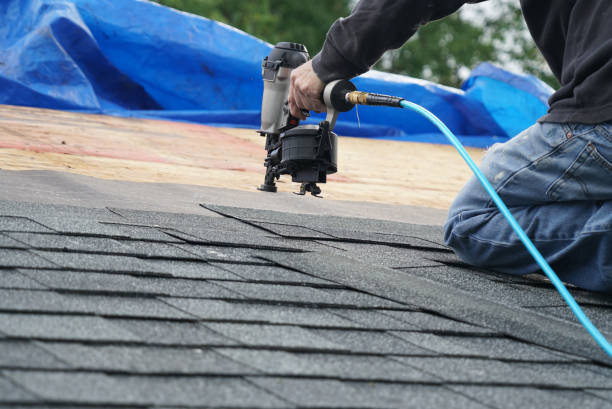 Best Roof Leak Repair  in Wellington, CO
