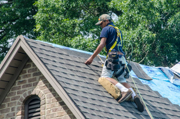 Reliable Wellington, CO Roofing Contractor Solutions